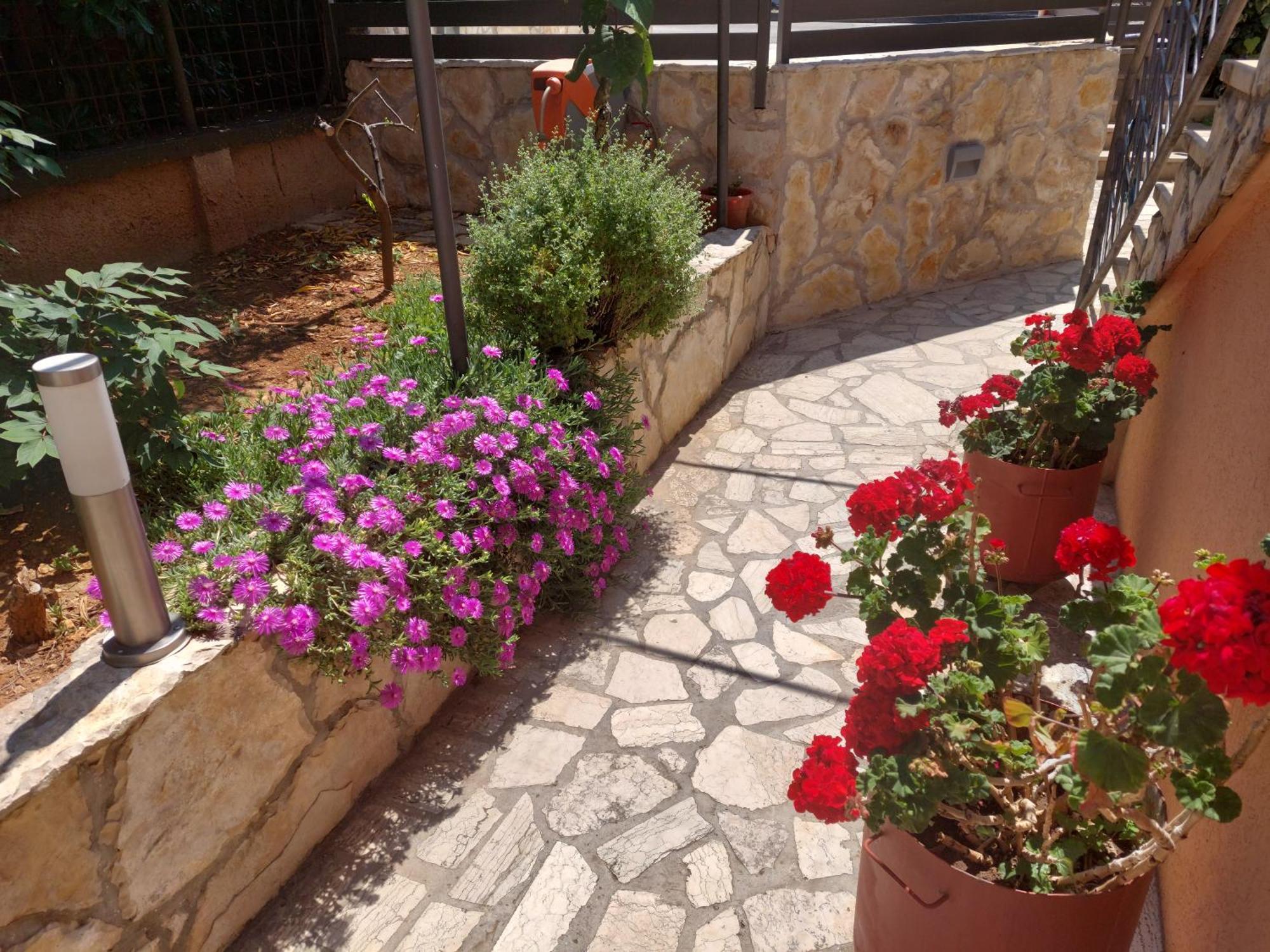 Morena Pula Exterior foto